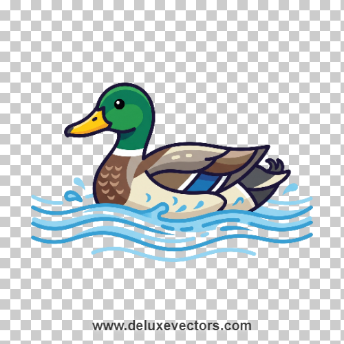 Colorful Male Mallard Duck Animal Clipart Free Download