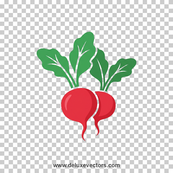 Radish Vegetable Vector Icon Free Download
