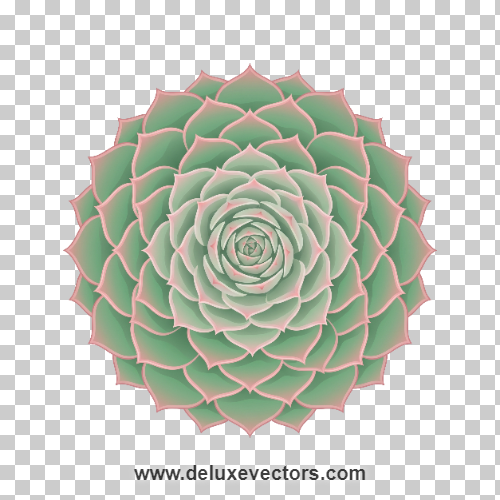 Symmetrical Rosette Flower Clipart Free Succulent PNG