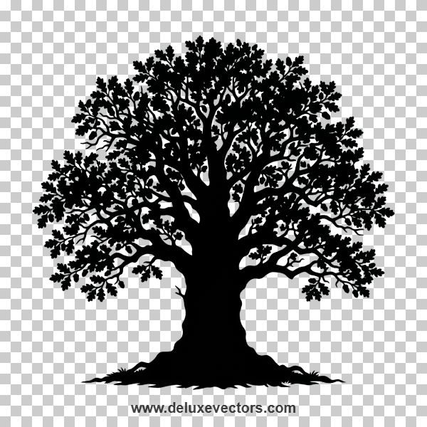 Tree-Silhouette-Vector-PNG
