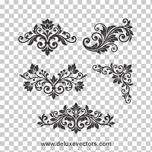 Elegant Floral Swirl Vector Flourish Ornament Png