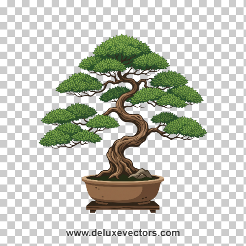 Japanese Bonsai Tree Zen Aesthetic Illustration Png