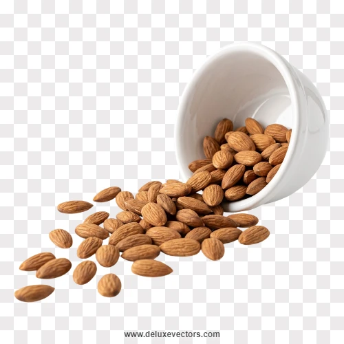 Almonds Overturned Bowl Transparent Png