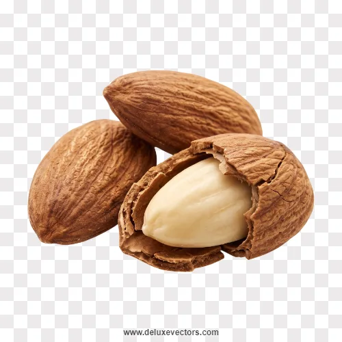 Almonds Shelled and Unshelled Image Png