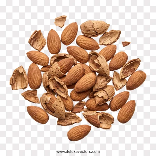 Cracked Almond Shells and Nuts Png