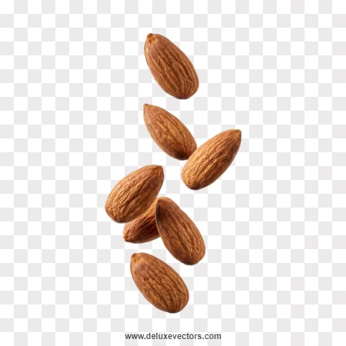 Falling Almond Nuts Isolated Png