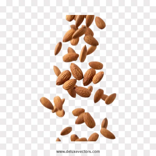 Falling Almonds Transparent Png Image
