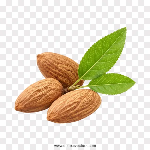 Raw Almonds with Green Leaf Png