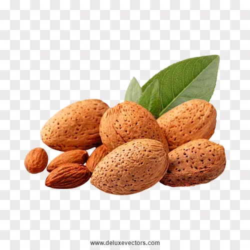 Raw Almonds with Green Leaves Png