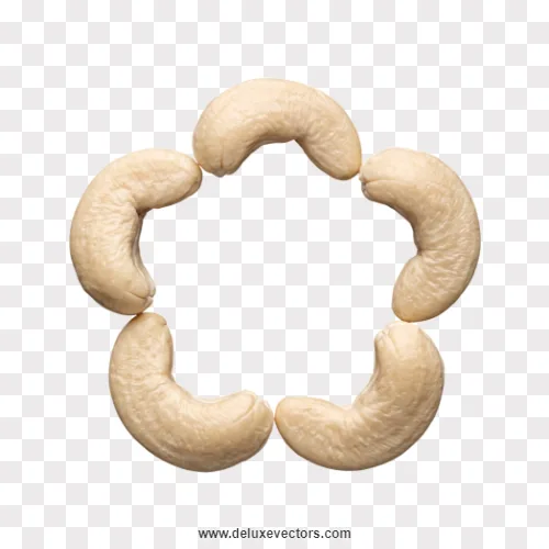 Cashew Nuts Circle Flower Shape Png