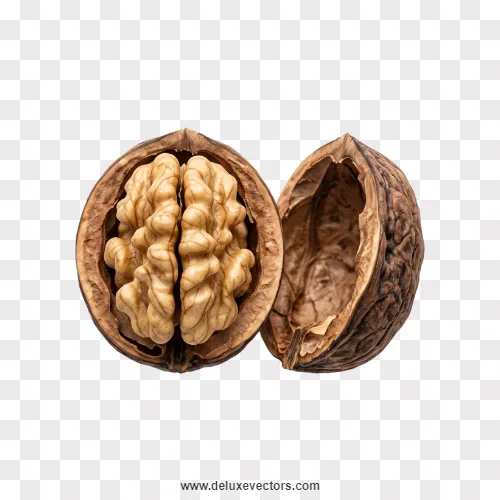 Cracked Walnut Shell with Kernel Png