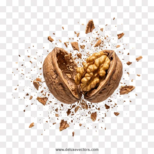 Cracking Walnut Shell Explosion Splash Graphics