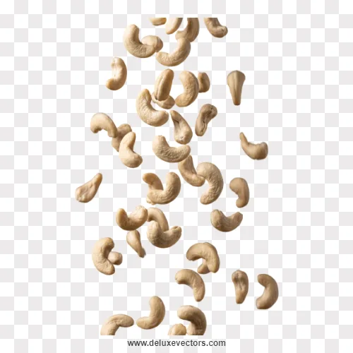 Falling Cashew Nuts Transparent Png