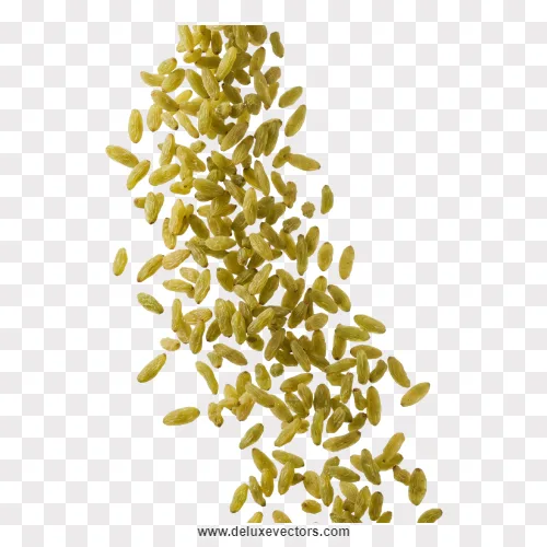 Falling Green Raisins Splash PNG