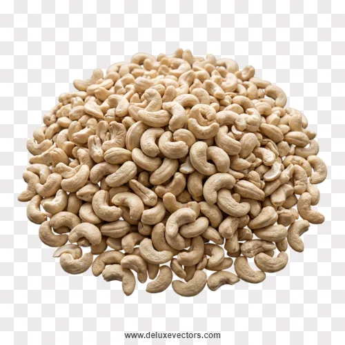 Large Pile Raw Cashew Nuts Png Image