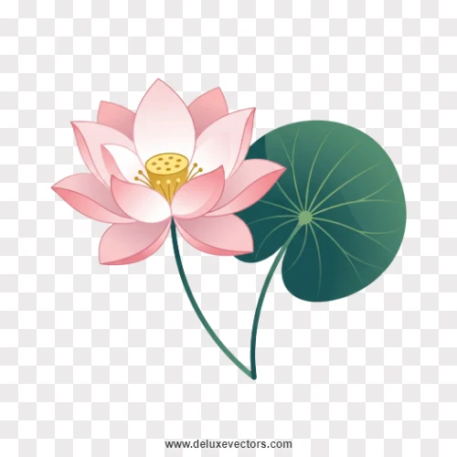 Minimal Pink Lotus Flower Vector Illustration PNG