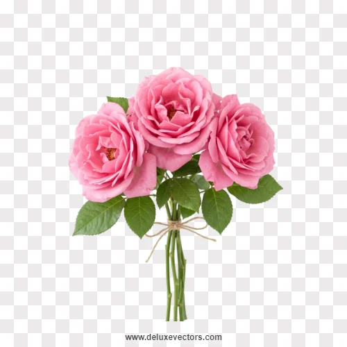 Pink Rose Bunch Tied with String PNG