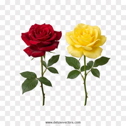 Red and Yellow Rose Stems Pair PNG