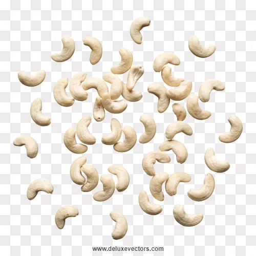 Scattered Cashew Nuts Overhead View Png