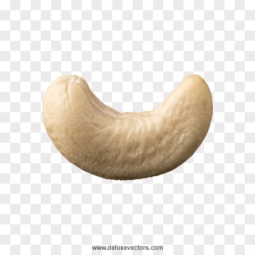 Single Raw Cashew Nut Isolated Png