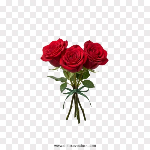 Three Red Roses Tied Bouquet PNG
