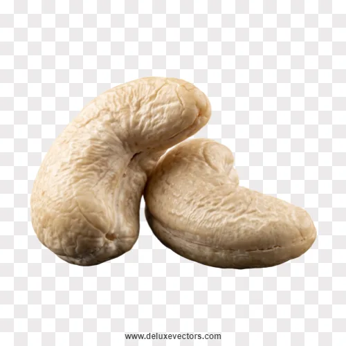 Two Raw Cashew Nuts Close-up Png Image Transparent