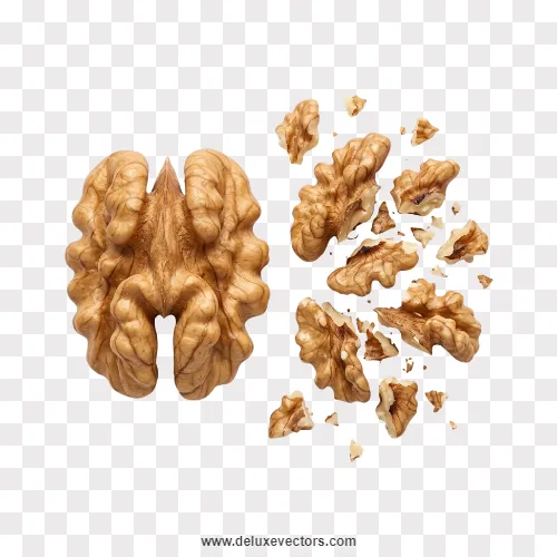 Walnut Kernel Halves and Pieces Png