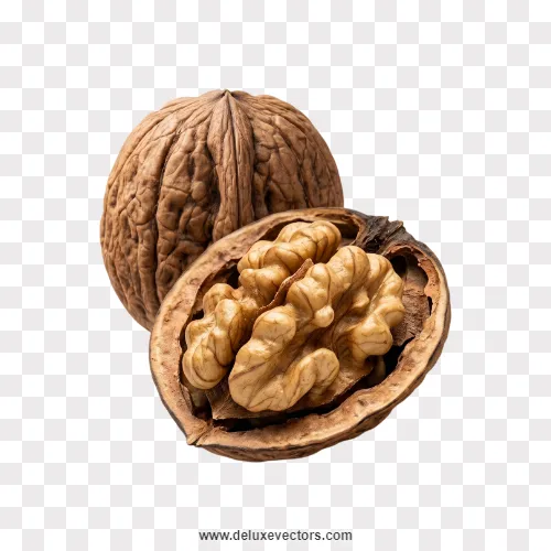 Walnut Kernel Macro Shot with Shell Png