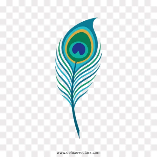 Flat Vector Peacock Feather PNG