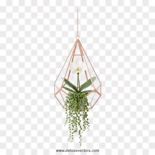 Hanging Rose Gold Terrarium Plant PNG