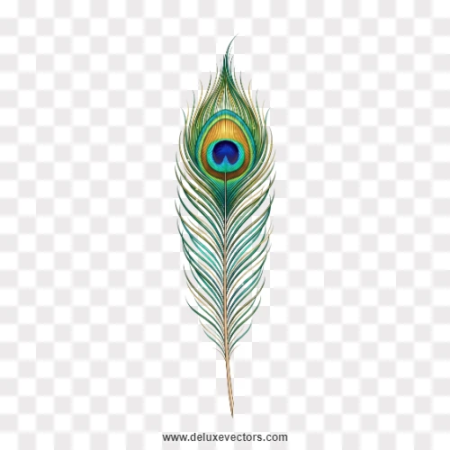 Slim Peacock Feather Vertical PNG