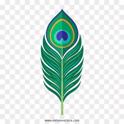 Stylized Green Peacock Feather Vector PNG